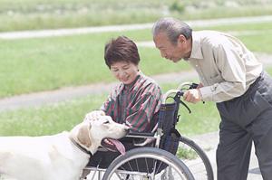 働きながら癌が克服できる新免疫療法