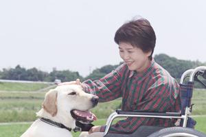 地域密着型！津田沼で評判の歯医者ランキングと選び方の完全ガイド