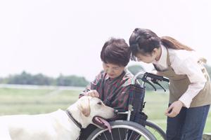 日本白内障緑内障研究会をお勧めする理由