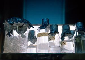 川崎で実践!糖尿病対策の最新ガイド2025年版